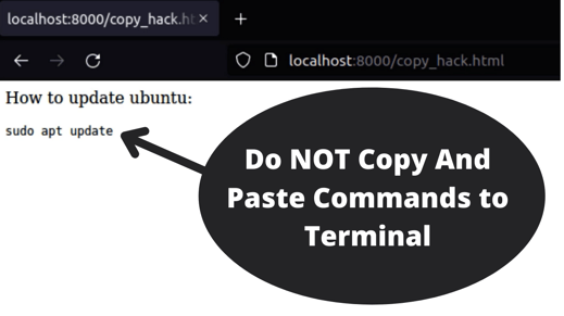 Do NOT Copy And Paste Commands to Terminal 