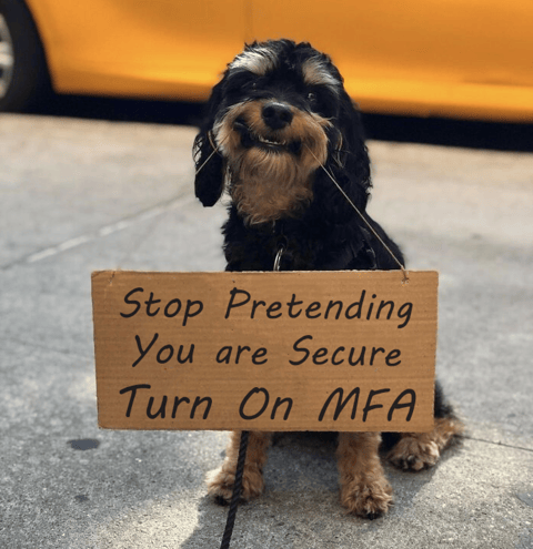 Enable MFA Sign-Dog