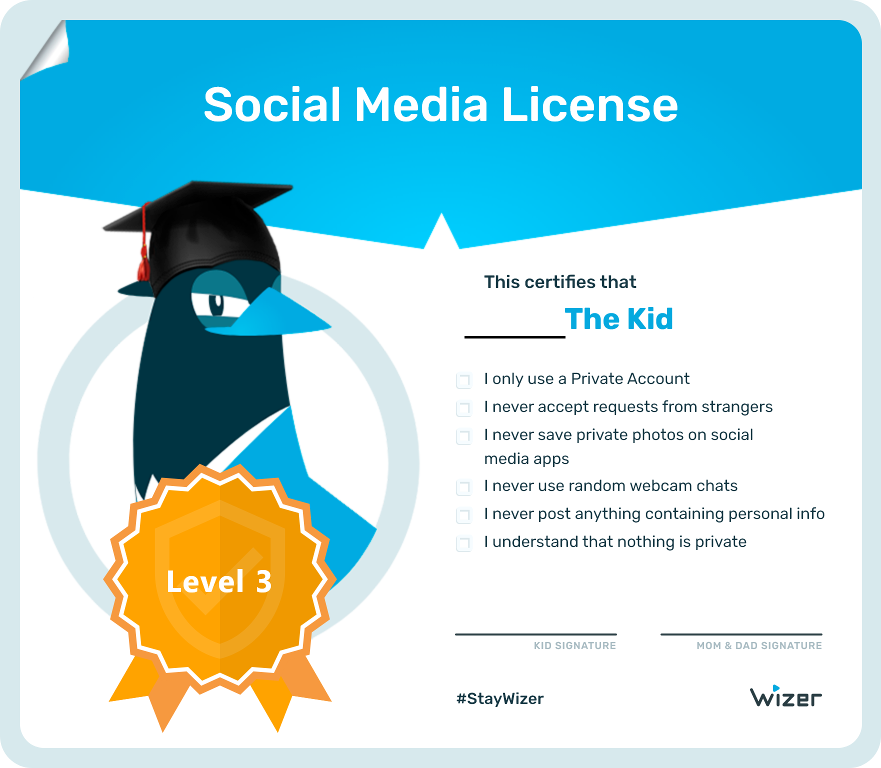 Social Media License - Wizer