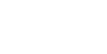 Wizerlogo white